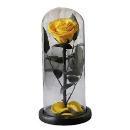 Beauty And The Beast - Yellow